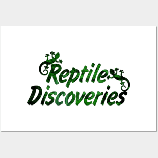 Reptile Discoveries Posters and Art